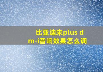 比亚迪宋plus dm-i音响效果怎么调